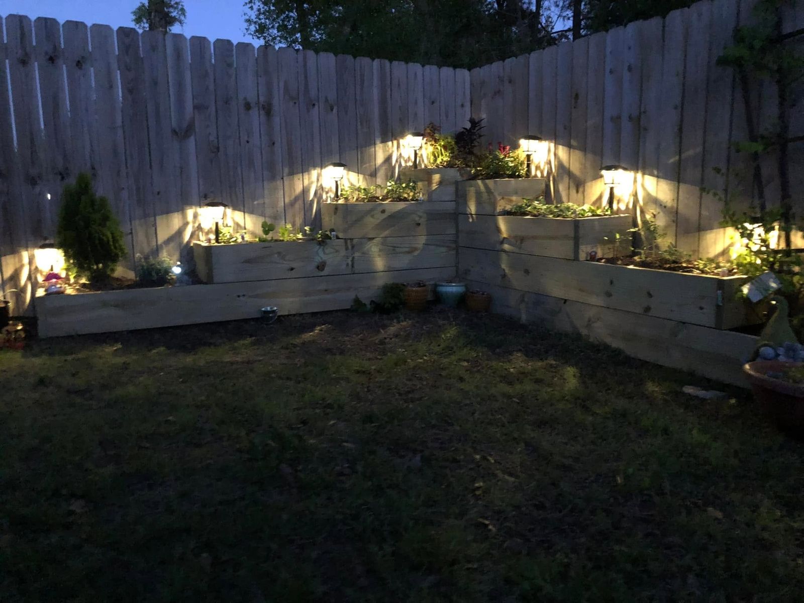 Tiered wooden garden beds along a fence corner, lit by path lights at dusk